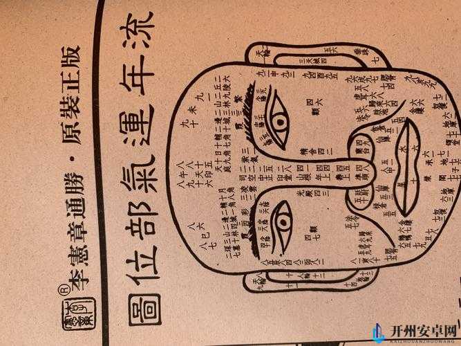 十大名阴的面相特征：揭秘富贵、长寿、婚姻、事业